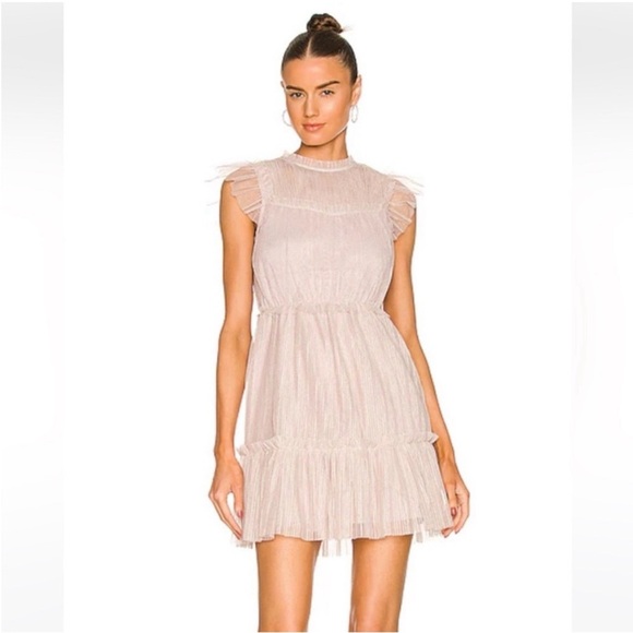 All Saints Dresses & Skirts - All Saints Perri Metallic Tulle Mini Dress